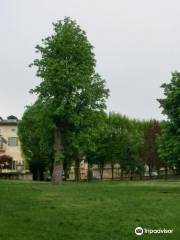 Villa Favorita e Parco della Favorita