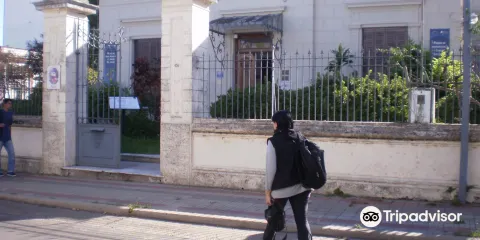 Museo De AntropologIa Concordia