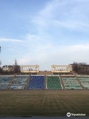 Loginov Central Stadium