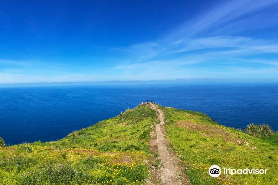 Walkme Madeira Levadas