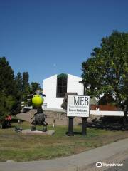 Museo Paleontológico Municipal Ernesto Bachmann(NEUQUEN)