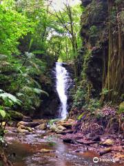 Catarata Los Murcielagos - Monteverde Waterfall