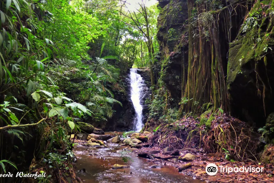 Catarata Los Murcielagos - Monteverde Waterfall