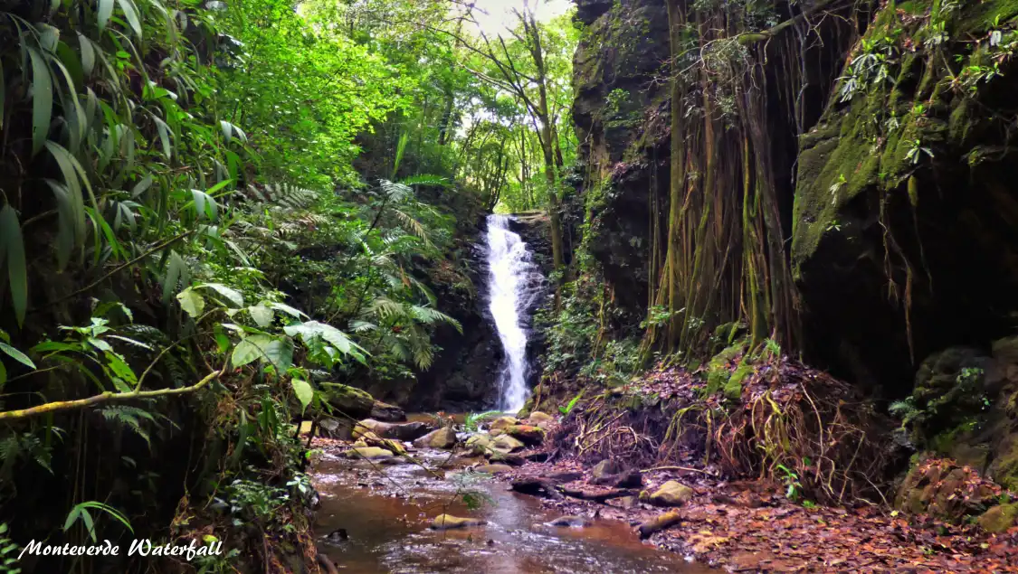 Hotels near Catarata Los Murcielagos - Monteverde Waterfall