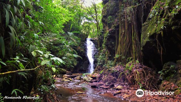 Catarata Los Murcielagos - Monteverde Waterfall