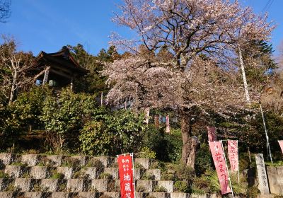 Korin-ji Temple