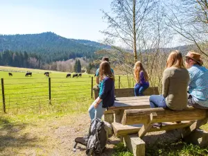 Nationalparkzentrum Falkenstein