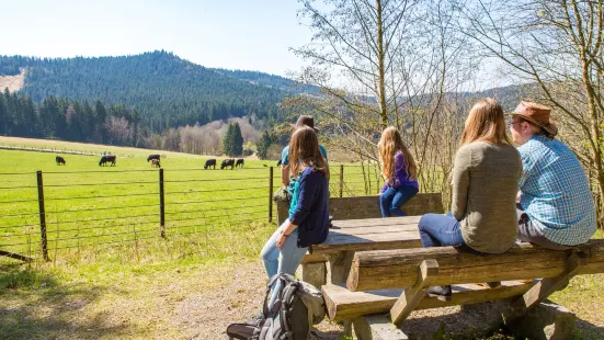 Nationalparkzentrum Falkenstein