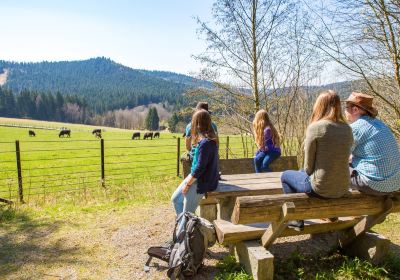 Nationalparkzentrum Falkenstein