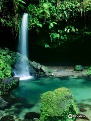 Emerald Pool Nature Trail