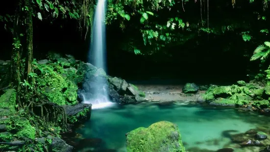 Emerald Pool Nature Trail