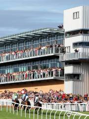 Fontwell Park Racecourse