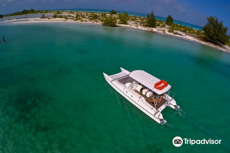 Caicos Catalyst Charters & Excursions