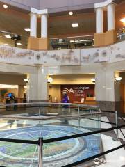 Lexington Public Library Ceiling Clock and Foucault Pendulum