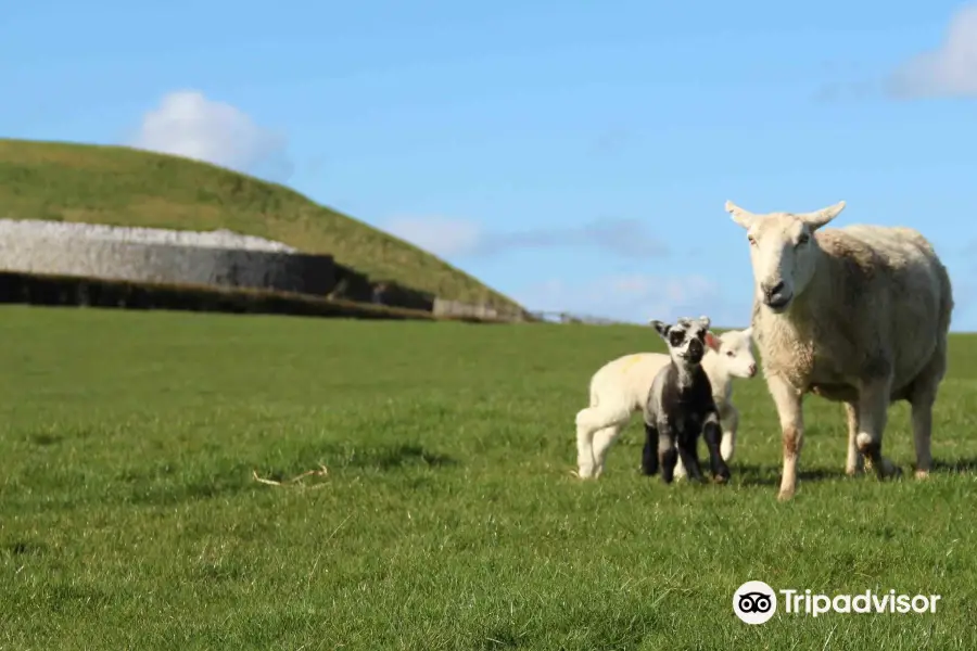 Newgrange Farm