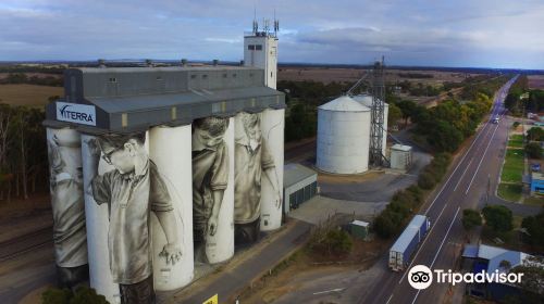 Coonalpyn Silo Mural