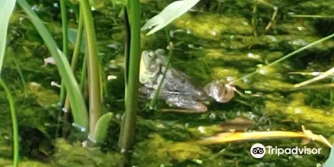 Rowland Nature Preserve