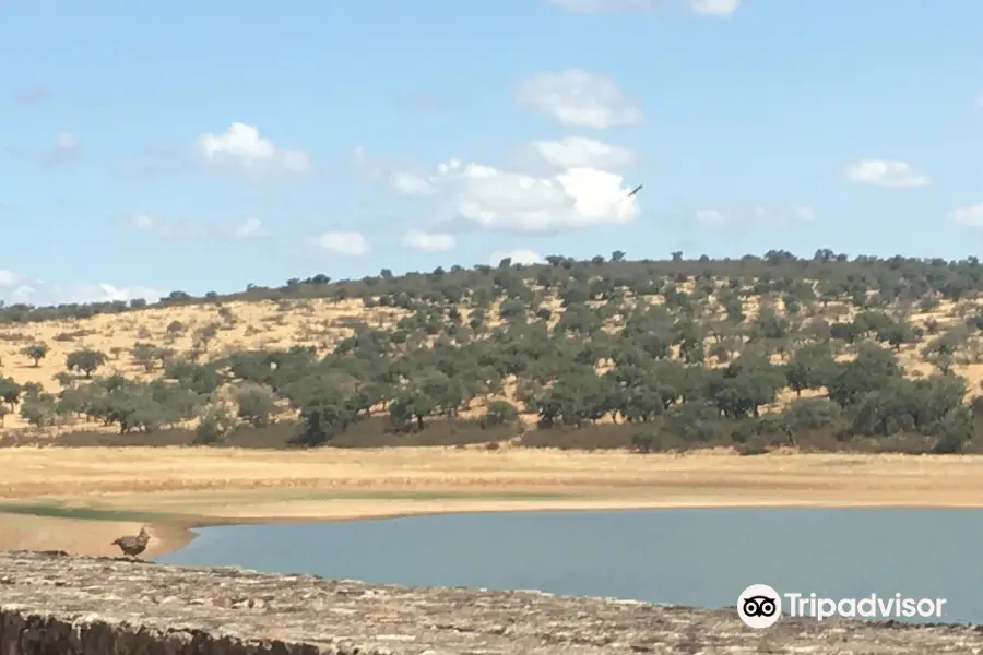 Presa Romana de Cornalvo