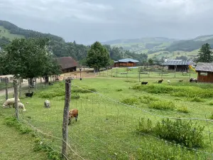 Nature and Adventure Park Buchenberg