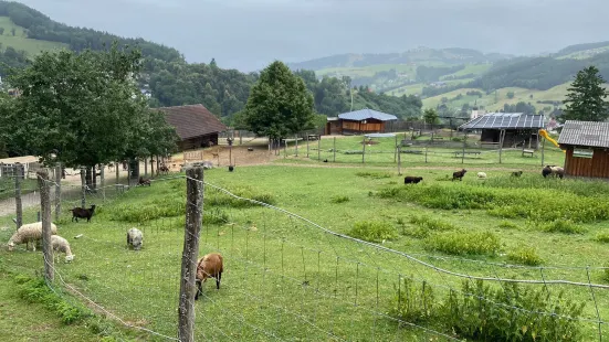 Nature and Adventure Park Buchenberg