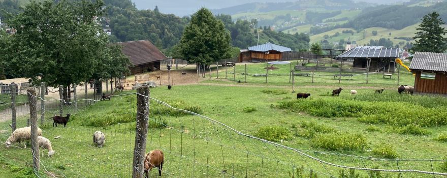 Nature and Adventure Park Buchenberg