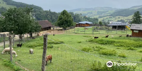Nature and Adventure Park Buchenberg
