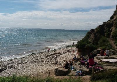 Danes Dyke Nature Reserve