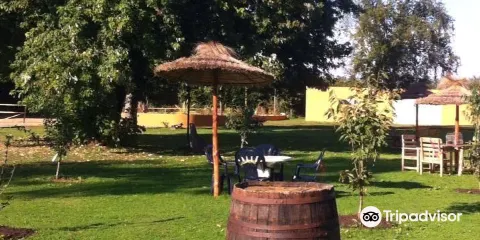 Poney Club Des Oliviers