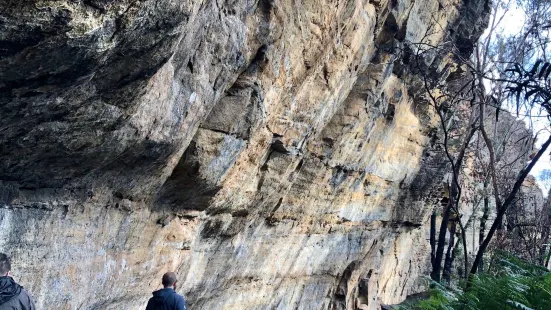 Blackfellows Hand Cave