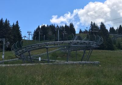 Luge sur rail "Mountain Twister"