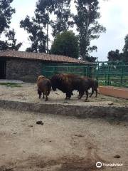 Parque Ecológico Zacango