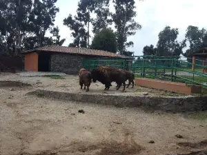 Parque Ecológico Zacango