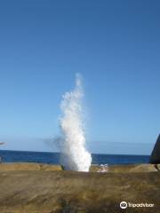 Bicheno Blowhole