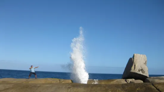 Bicheno Blowhole