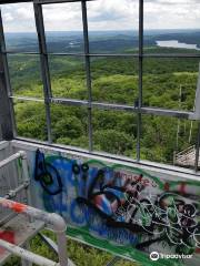 Ninham Mountain Fire Tower