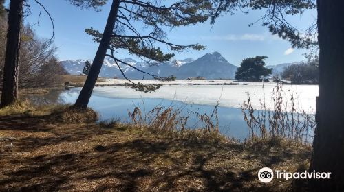 Lac de Saint-Apollinaire