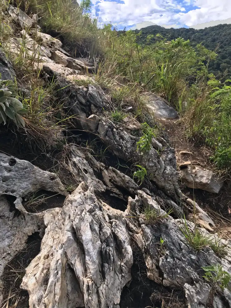 Hôtels à : Solok