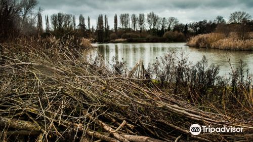 South Norwood Country Park