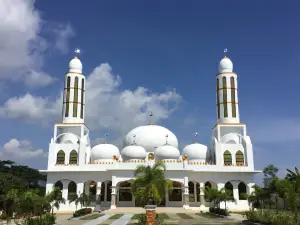 Masjid Al-Nasser Abpi - White Mosque