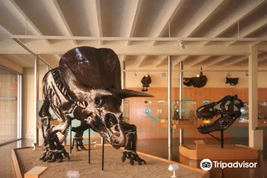 Museu de lInstitut Català de Paleontologia Miquel Crusafont