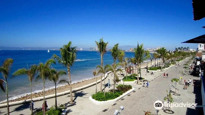 Malecon Boardwalk Vallarta