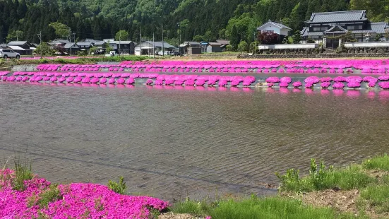 大野市民俗資料館