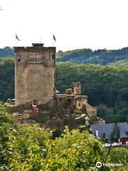 Ehrenburg Castle