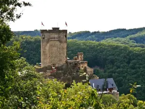 Ehrenburg Castle