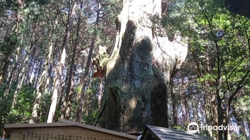 Fukuo Shrine