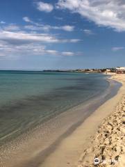 Spiaggia di San Lorenzo