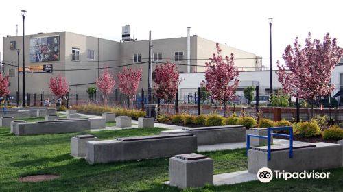 Alex Decoteau Park