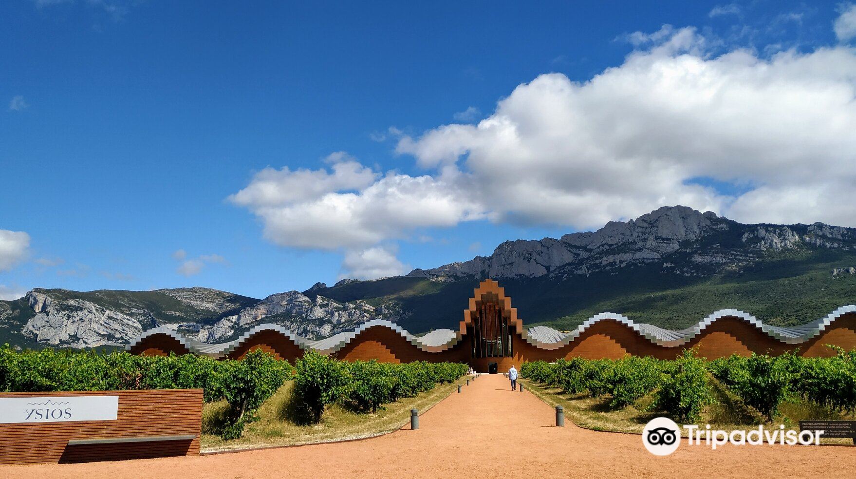 Ysios winery deals