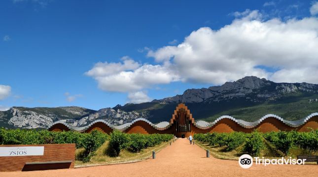 Bodegas Ysios
