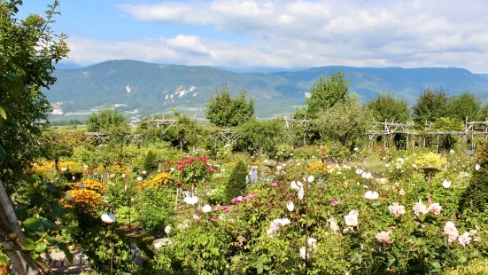 Giardino della Rosa